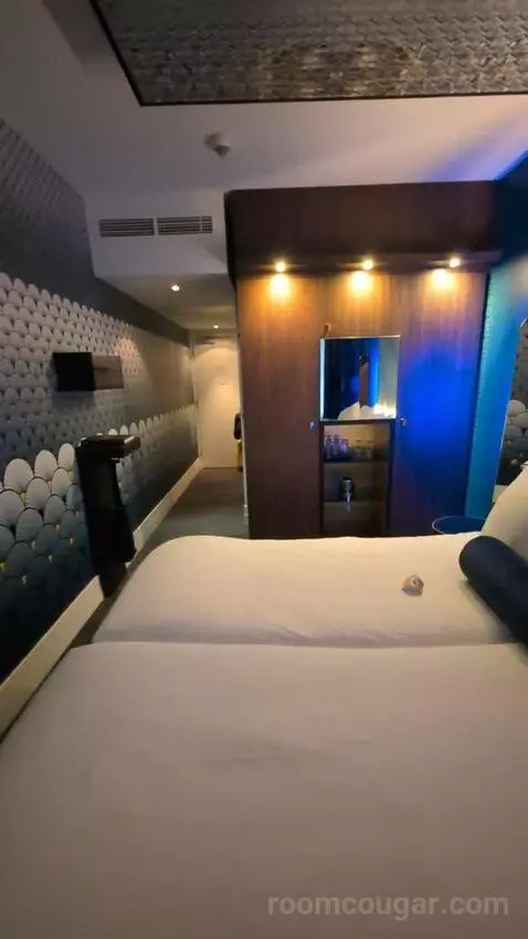 Superior Double Room (#281) picture #19