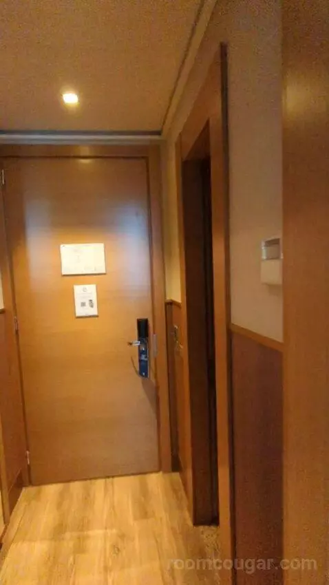 Junior Suite (#321) picture #15