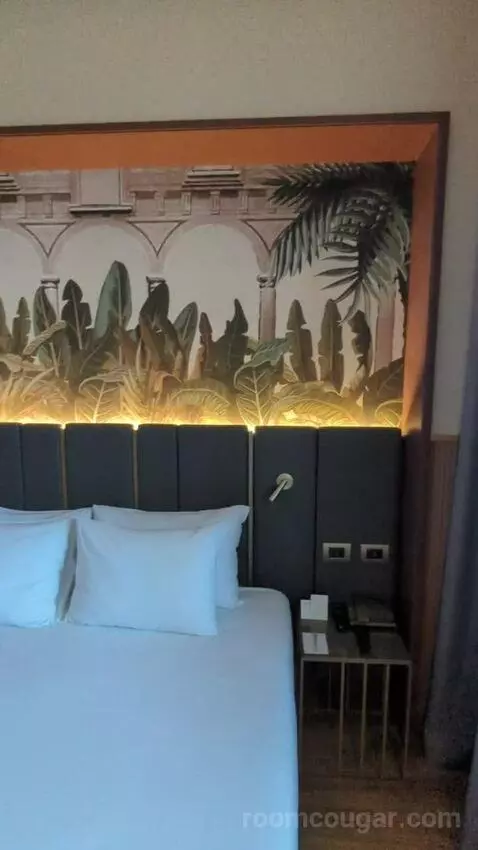 Junior Suite (#321) picture #5