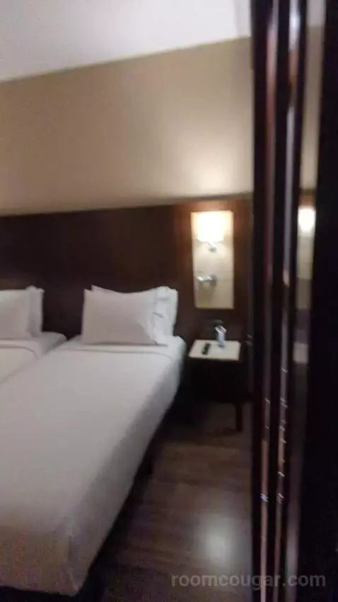 Standard Twin Room bed picture #6