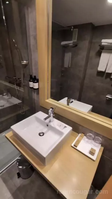 Superior Single Room bathroom picture #9
