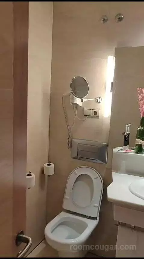 Standard (#1105) bathroom picture #2