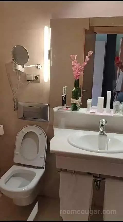 Standard (#1105) bathroom picture #3