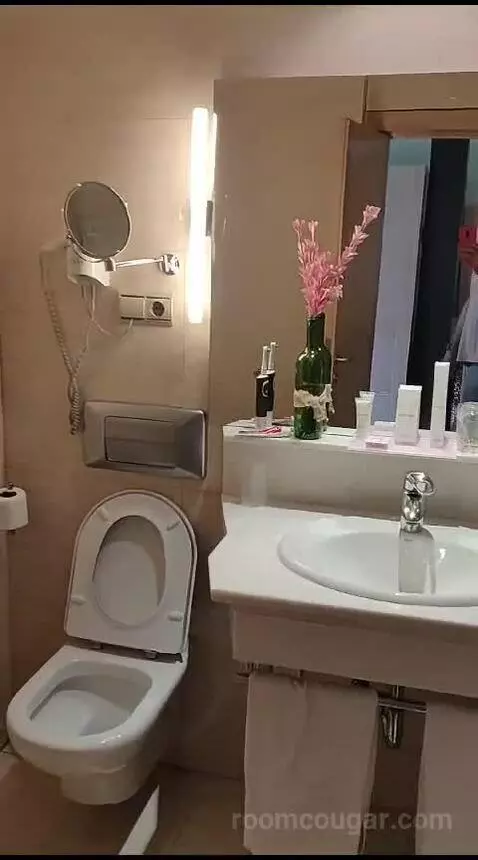 Standard (#1105) bathroom picture #4