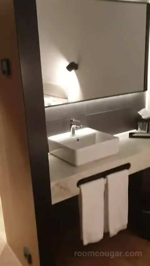 Standard Double Room bathroom picture #9
