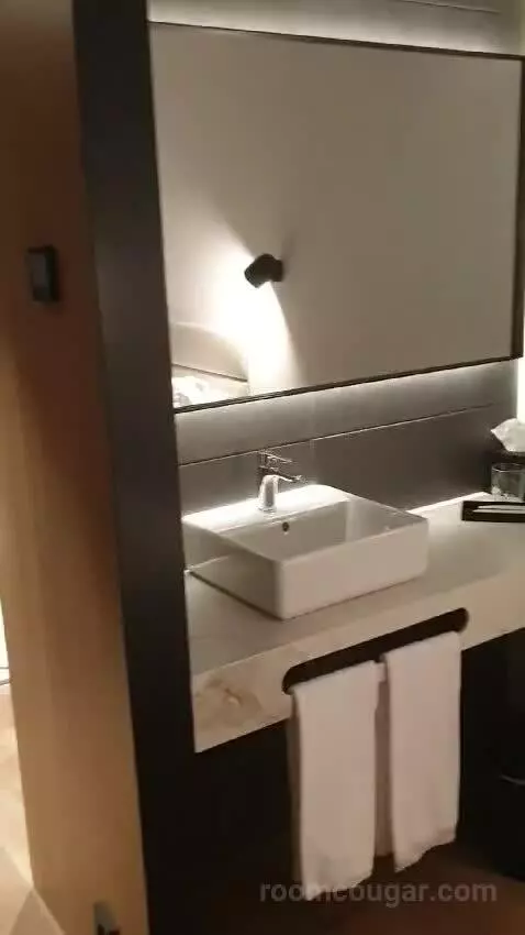 Standard Double Room bathroom picture #10