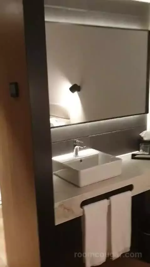 Standard Double Room bathroom picture #11