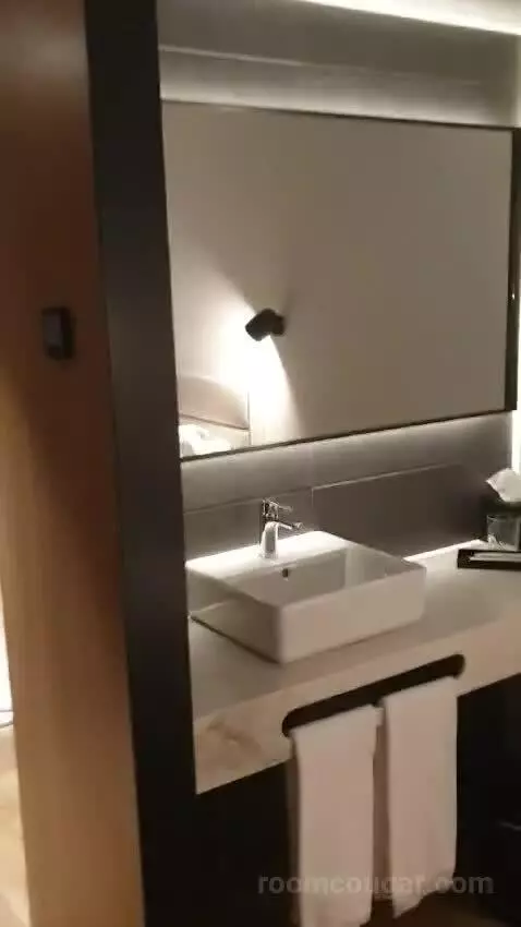 Standard Double Room bathroom picture #12