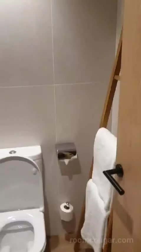Standard Double Room bathroom picture #3