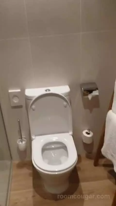 Standard Double Room bathroom picture #7