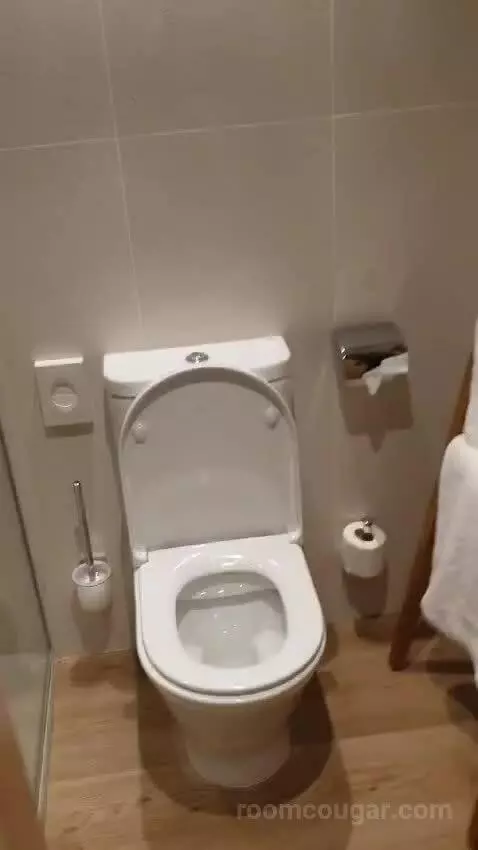 Standard Double Room bathroom picture #8