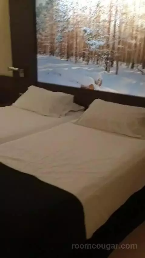 Double or Twin Room with Parking picture #12