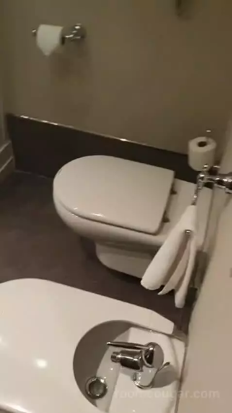 Double or Twin Room with Parking bathroom picture #2
