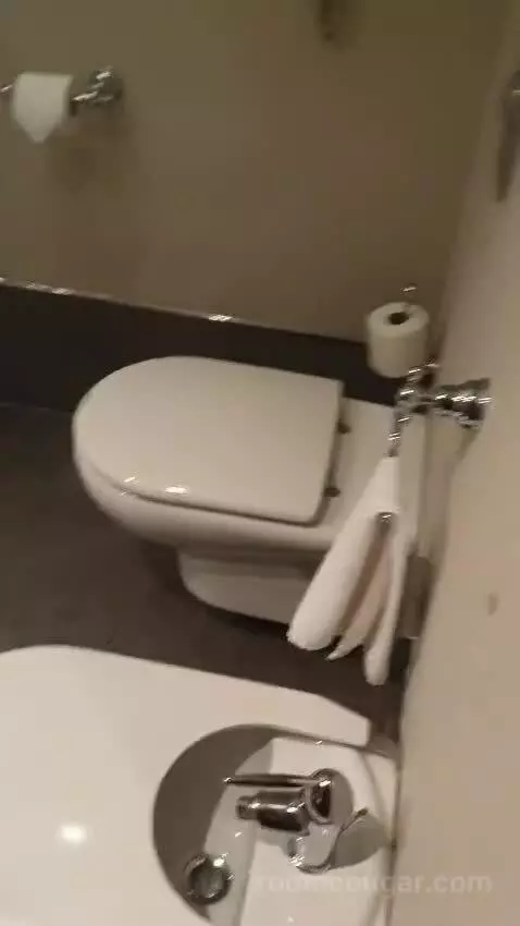 Double or Twin Room with Parking bathroom picture #3