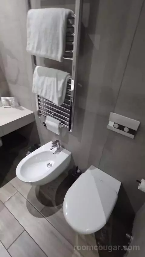 Double Room - Single Use (#506) bathroom picture #3