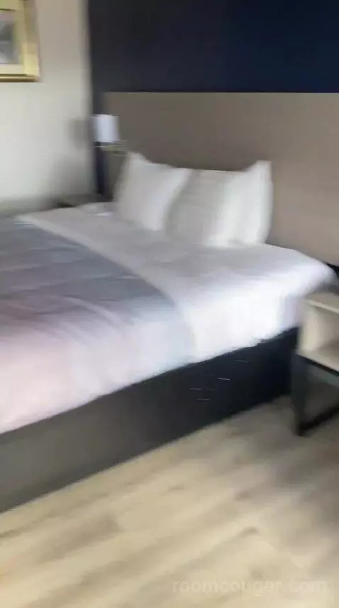 King Room (#118) bed picture #6