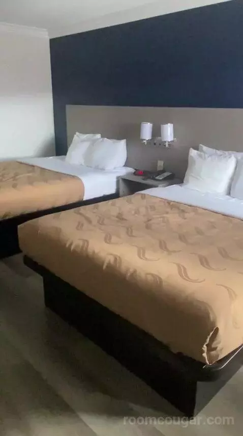 Queen Room with Two Queen Beds (#106) bed picture #8