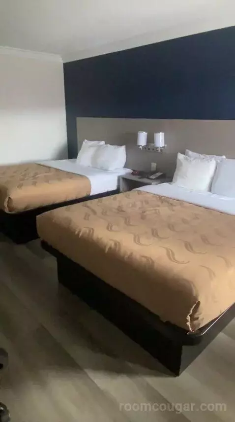 Queen Room with Two Queen Beds (#106) bed picture #9
