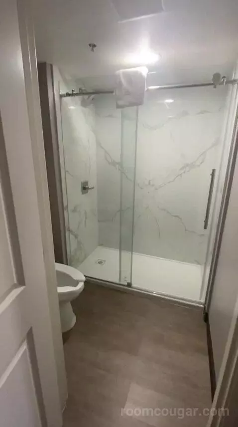 Standard (#106) bathroom picture #5