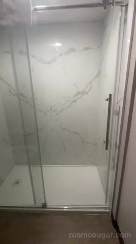 Standard (#106) bathroom picture #10