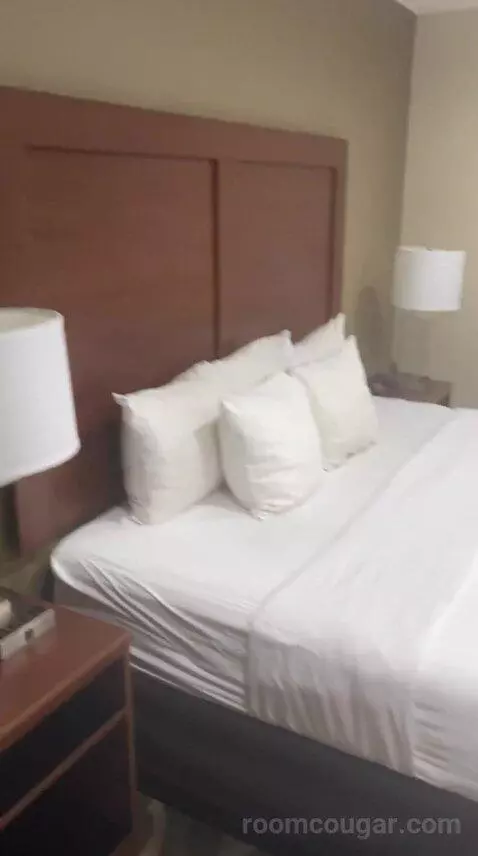 King Room - Non Smoking/Pet Friendly (#108) bed picture #1