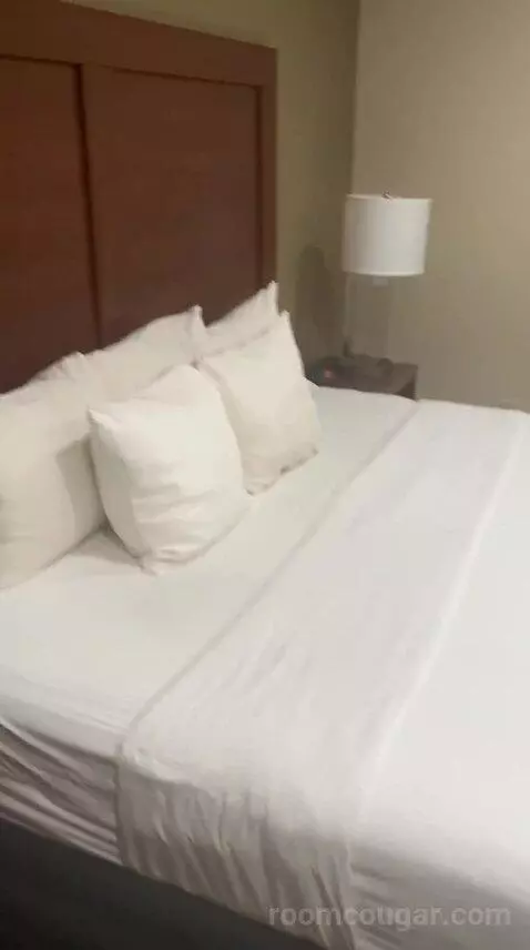 King Room - Non Smoking/Pet Friendly (#108) bed picture #3