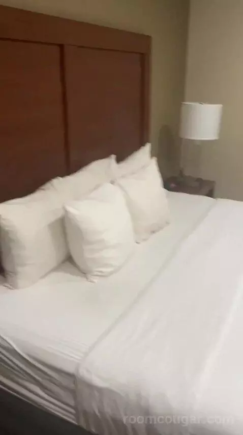 King Room - Non Smoking/Pet Friendly (#108) bed picture #4
