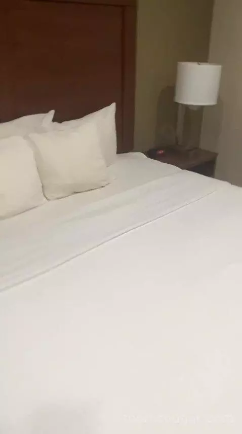 King Room - Non Smoking/Pet Friendly (#108) bed picture #9