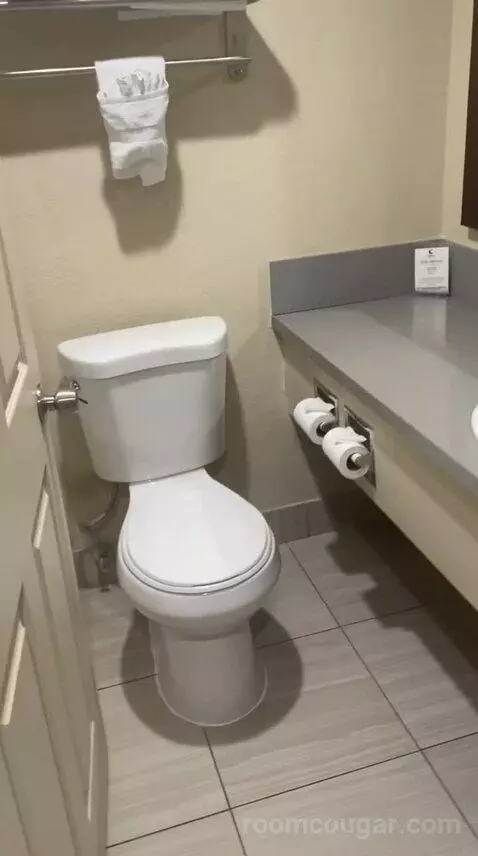 King Room - Non Smoking/Pet Friendly (#108) bathroom picture #3