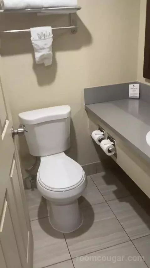 King Room - Non Smoking/Pet Friendly (#108) bathroom picture #4
