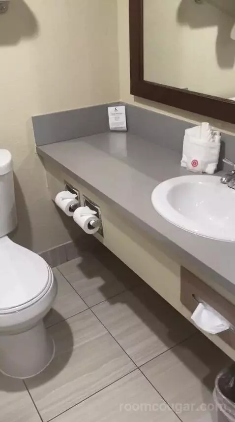 King Room - Non Smoking/Pet Friendly (#108) bathroom picture #5