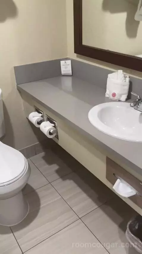 King Room - Non Smoking/Pet Friendly (#108) bathroom picture #6
