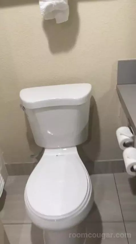 King Room - Non Smoking/Pet Friendly (#108) bathroom picture #7