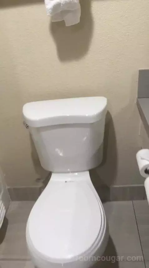 King Room - Non Smoking/Pet Friendly (#108) bathroom picture #8