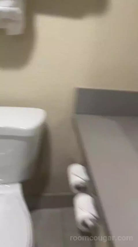 King Room - Non Smoking/Pet Friendly (#108) bathroom picture #9