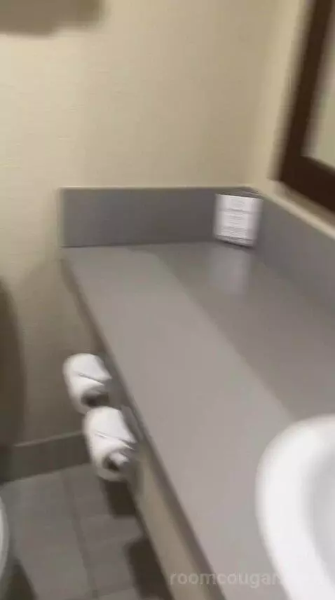 King Room - Non Smoking/Pet Friendly (#108) bathroom picture #10