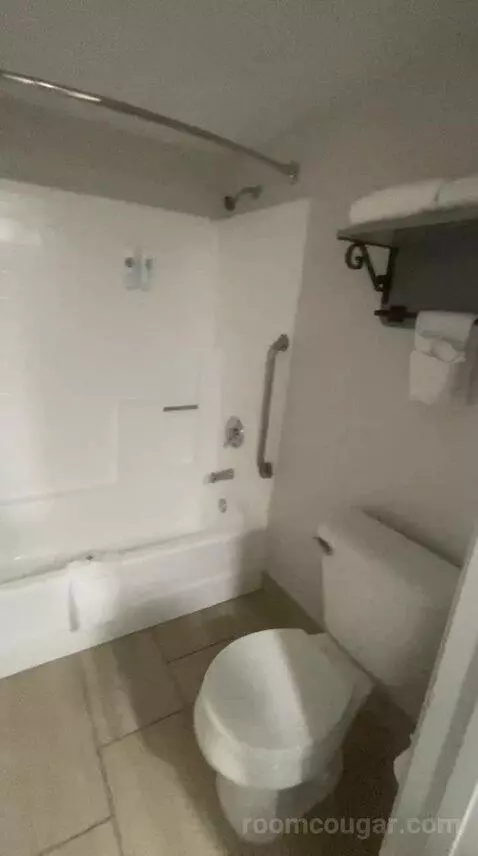 Suite, 1 King Bed, Living Room (#123) bathroom picture #9