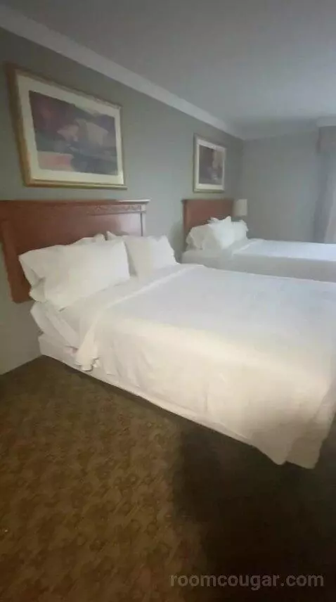 Queen Room with Two Queen Beds (#310) bed picture #3