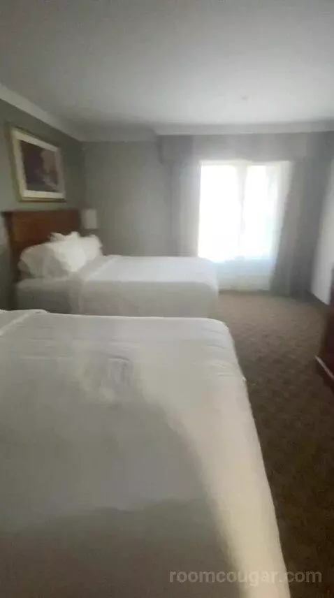 Queen Room with Two Queen Beds (#310) bed picture #4
