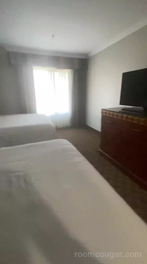 Queen Room with Two Queen Beds (#310) bed picture #5