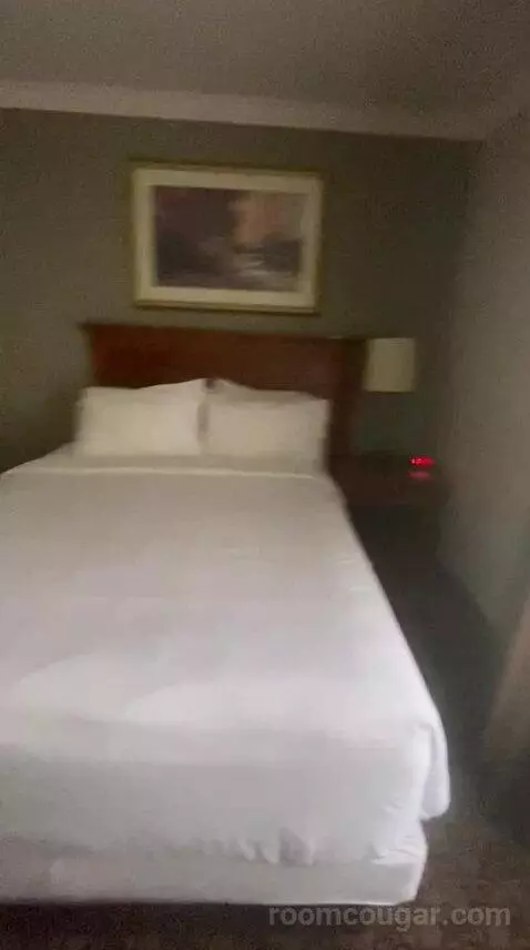 Queen Room with Two Queen Beds (#310) bed picture #7