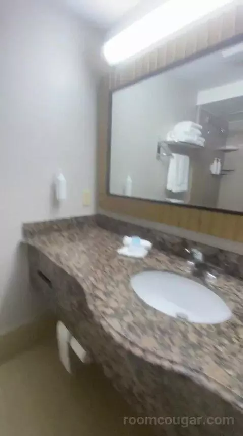 Queen Room with Two Queen Beds (#310) bathroom picture #3