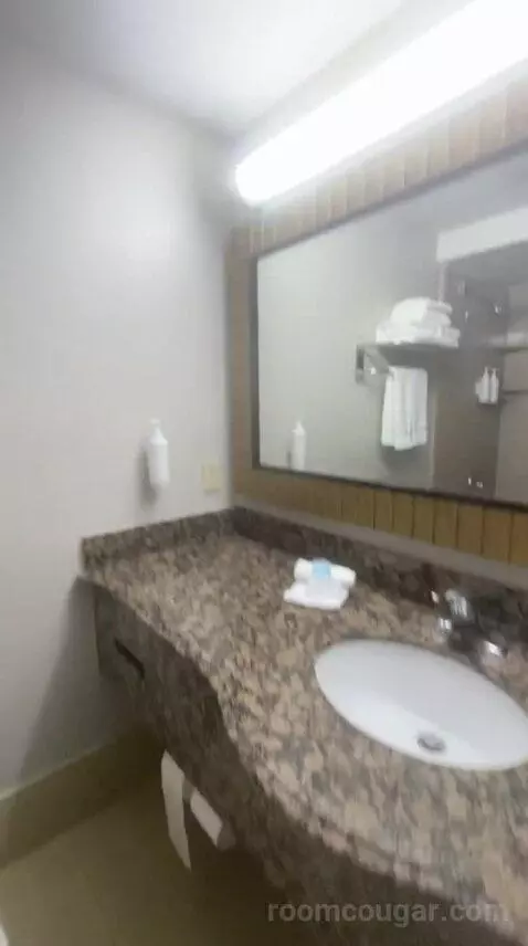 Queen Room with Two Queen Beds (#310) bathroom picture #4