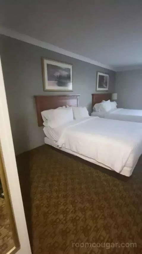 Queen Room with Two Queen Beds (#310) bed picture #2