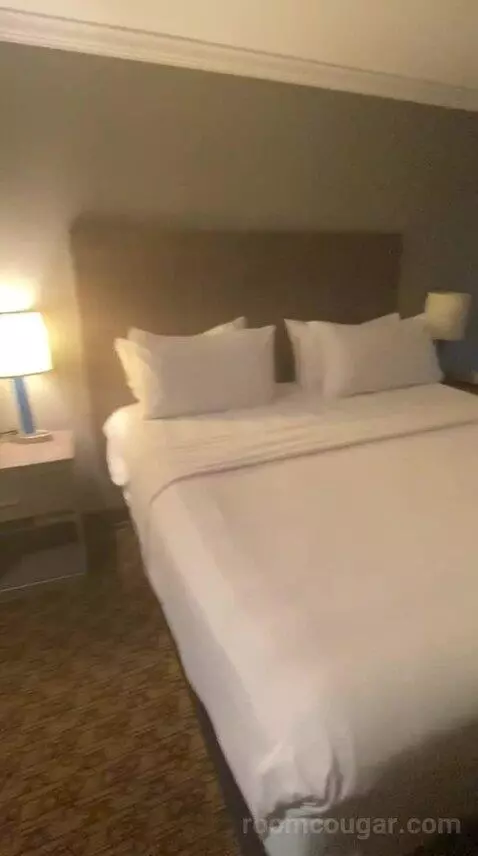 Deluxe King Room (#334) bed picture #9