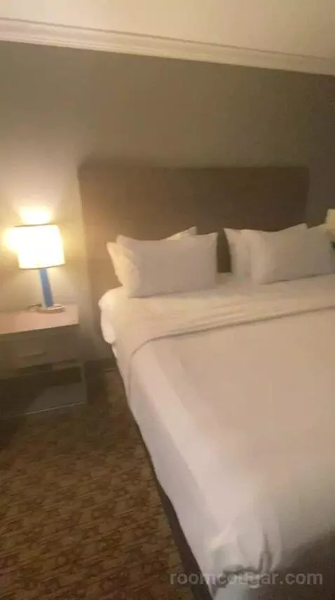 Deluxe King Room (#334) bed picture #10