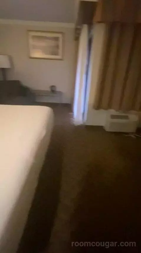 Deluxe King Room (#334) bed picture #11