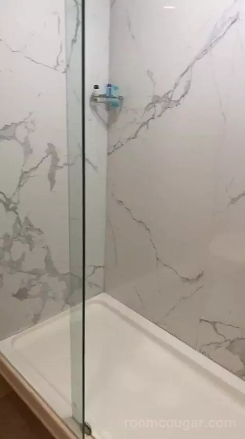 Standard (#207) bathroom picture #3