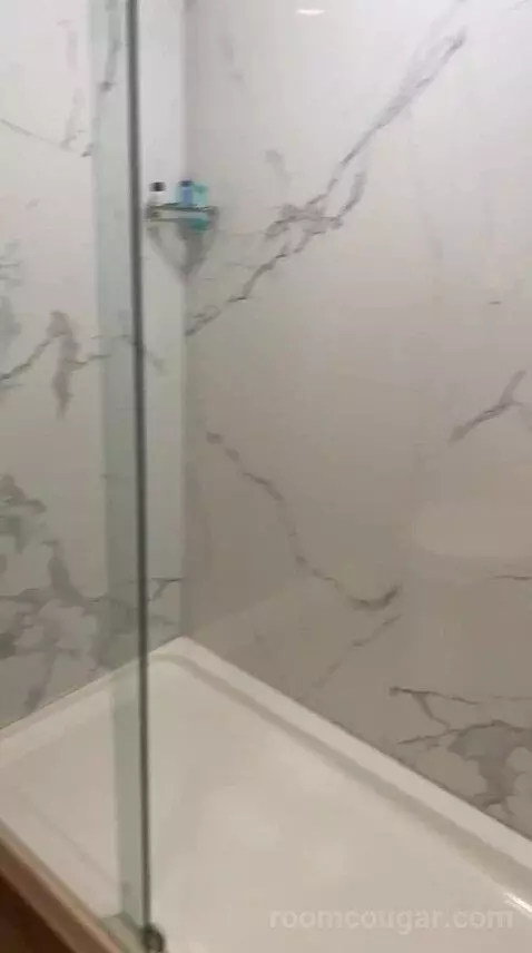 Standard (#207) bathroom picture #4