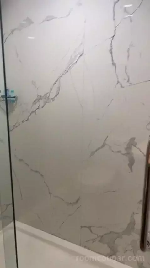 Standard (#207) bathroom picture #5